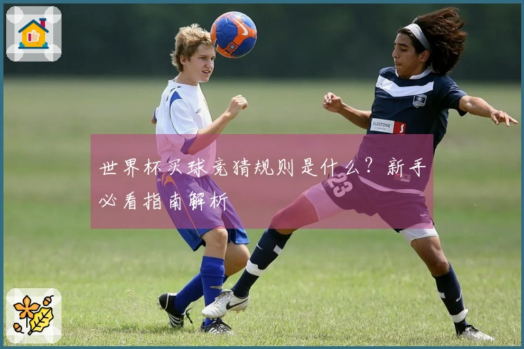 世界杯买球竞猜规则是什么?新手必看指南解析