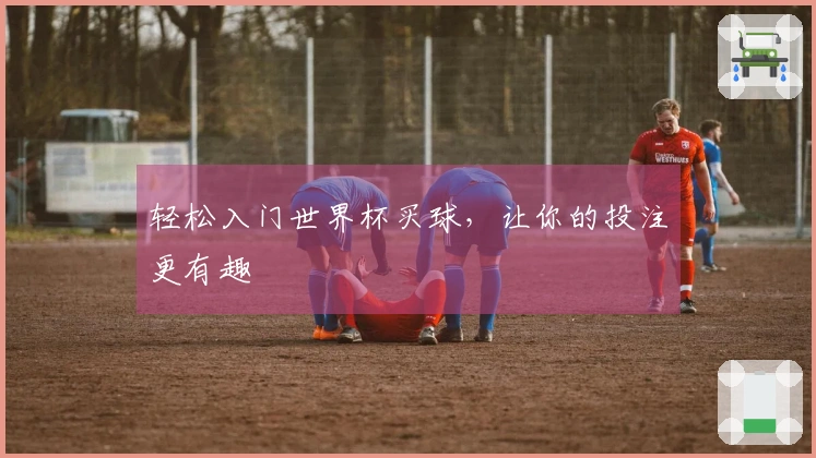 轻松入门世界杯买球，让你的投注更有趣