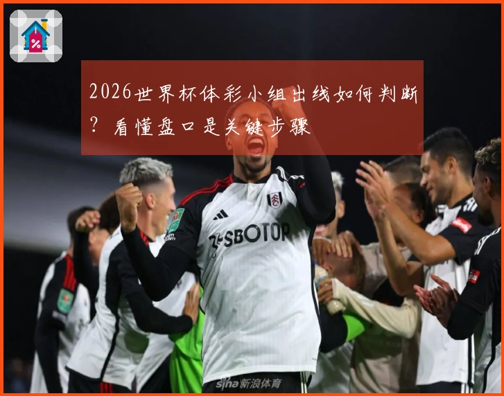 2026世界杯体彩小组出线如何判断？看懂盘口是关键步骤